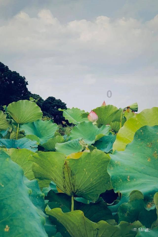 您好！今日「梨園雜志」公众号暂停一天推送，1月21日星期天恢复正常更新。您可以点击公众号菜单栏中的「历史消息」查看往期文章，也可点击「文章搜索」，根据我们提供的公众号内搜索方法，搜索您想看的文章，非常感谢您的支持与关注，祝愉快！[愉快]